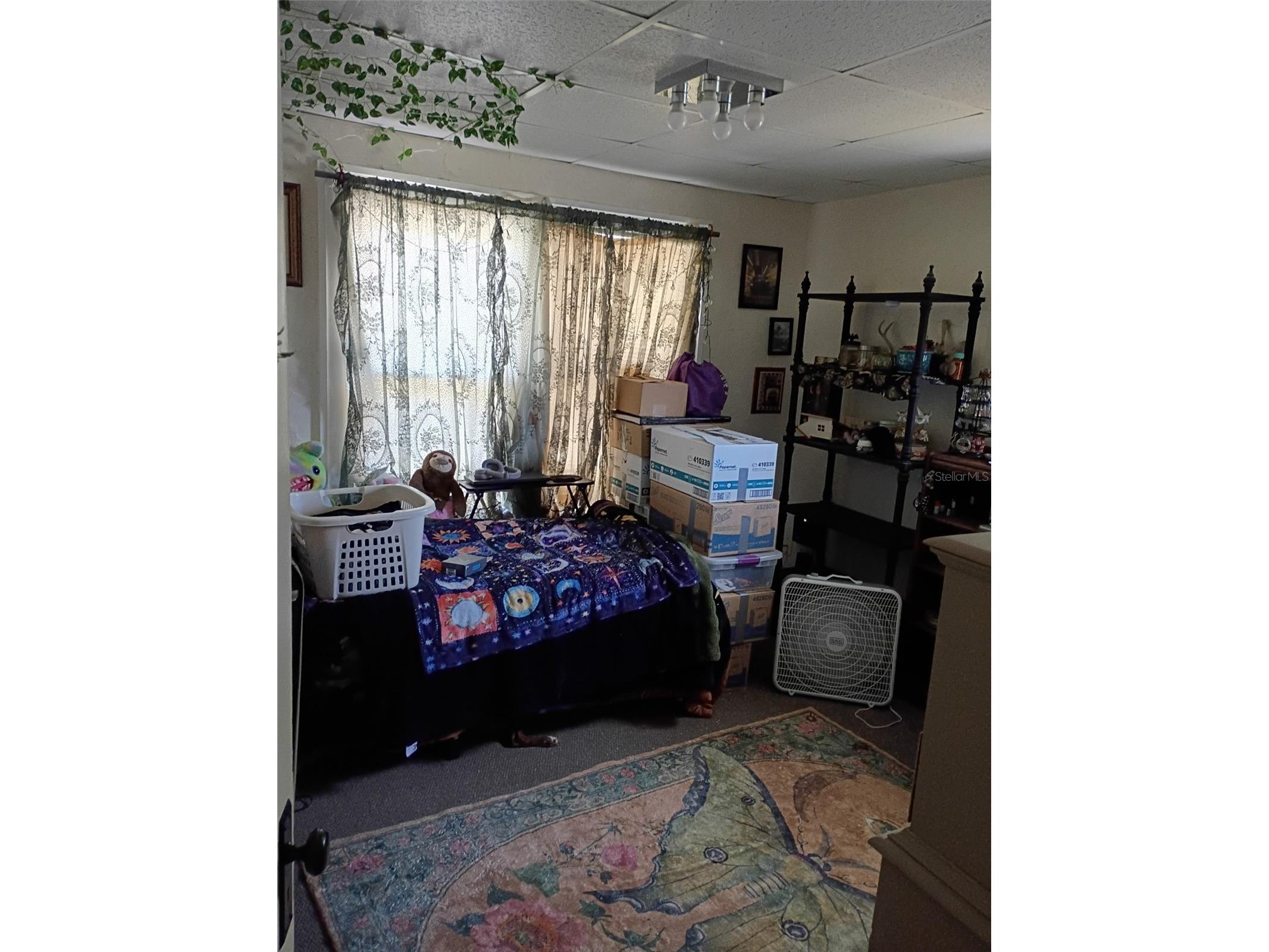 1204 38th Avenue N Saint Petersburg FL 33704 TB8505723 image9