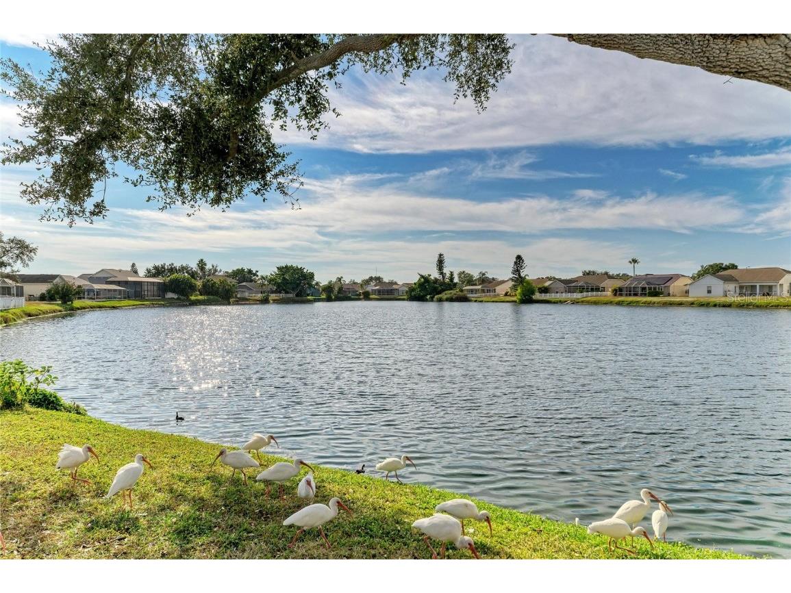 1204 50th Street E Bradenton FL 34208 A4673415 image63