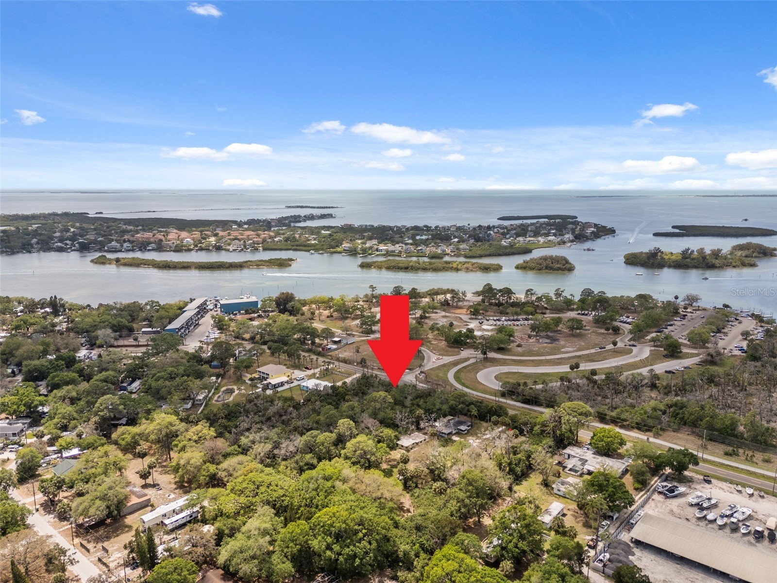 1204 Baillies Bluff Road Holiday FL 34691 TB8510721 image1