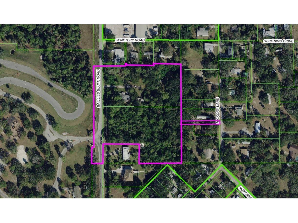 1204 Baillies Bluff Road Holiday FL 34691 TB8510721 image2