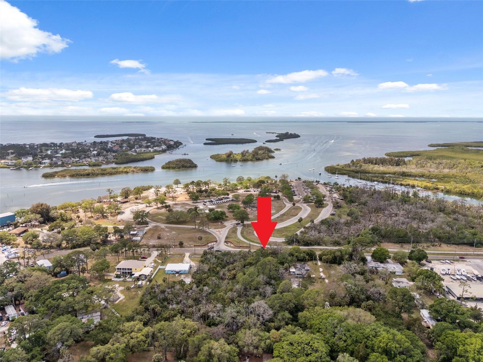 1204 Baillies Bluff Road Holiday FL 34691 TB8510721 image4