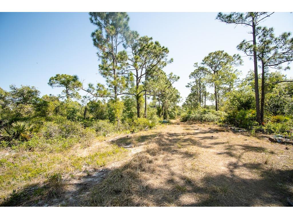 1204 Cardwell Street Lake Placid FL 33852 T3300596 image1