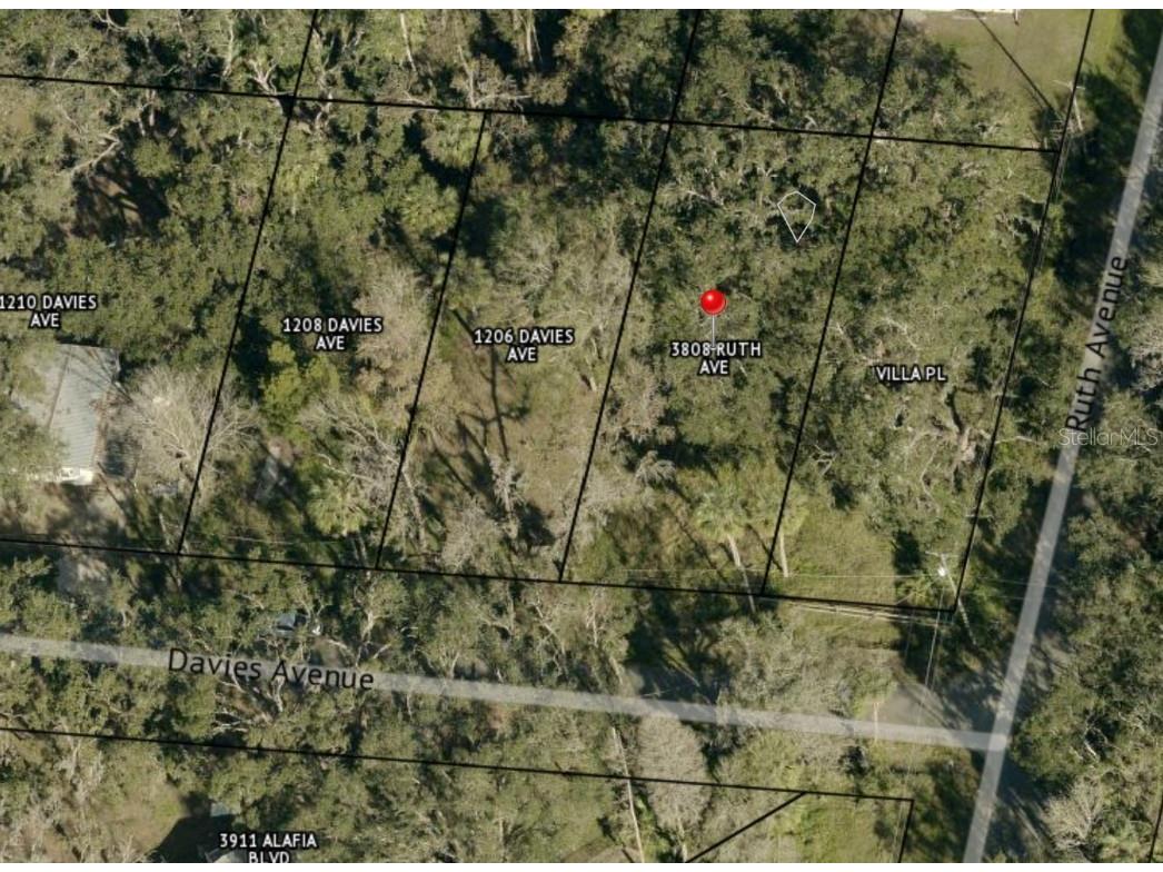 1204 Davies Road Brandon FL 33511 P4937154 image1