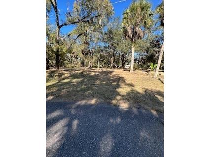 1204 Davies Road Brandon FL 33511 P4937154 image2