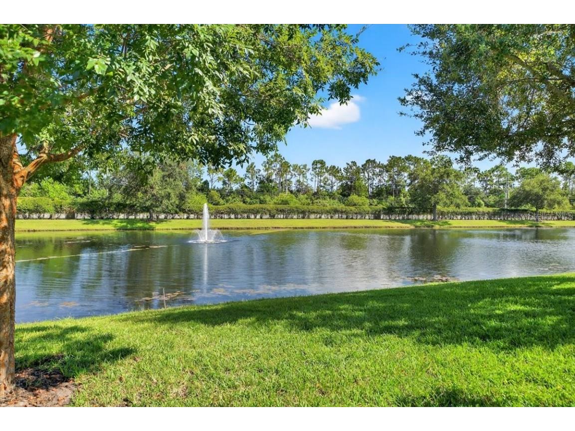 1204 Draycott Street Ormond Beach FL 32174 V4945232 image48