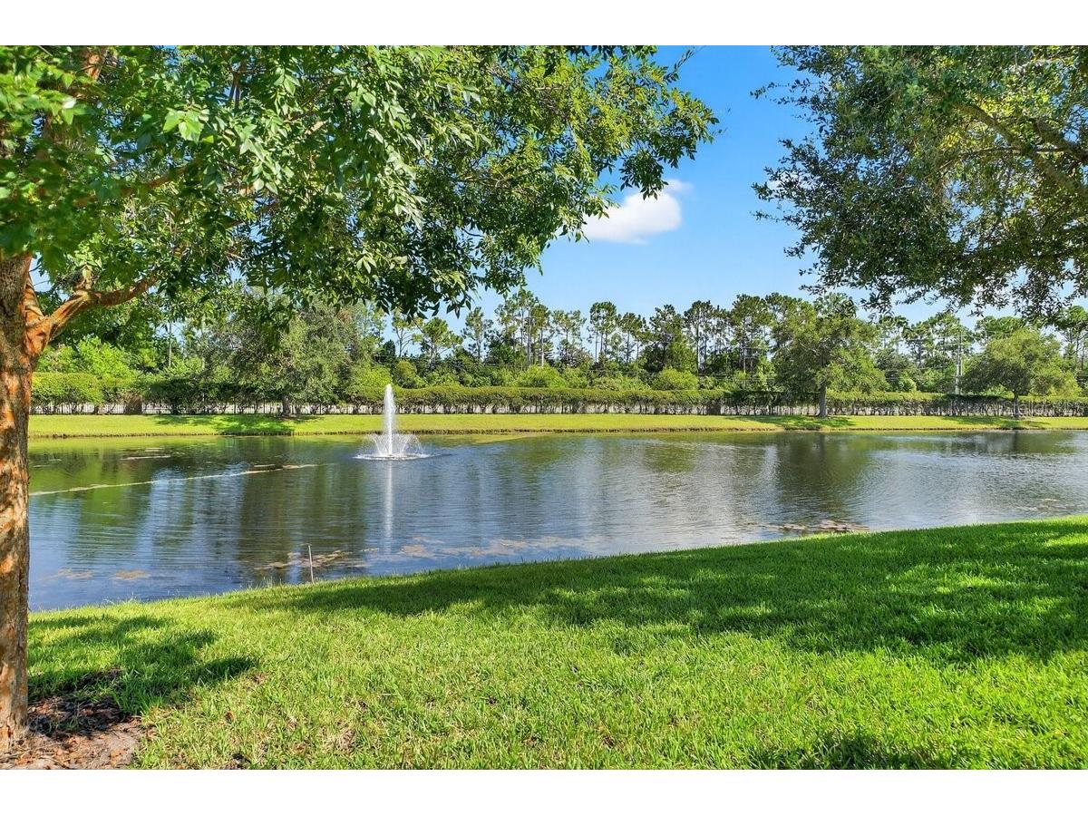 1204 Draycott Street Ormond Beach FL 32174 V4947946 image3