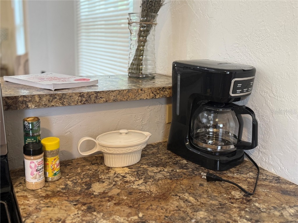 1204 E Emma Street Tampa FL 33603 TB8412433 image10