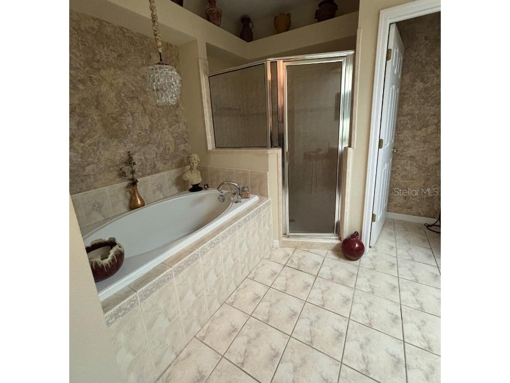 1204 Georgia Trace Avenue Valrico FL 33596 TB8451871 image11