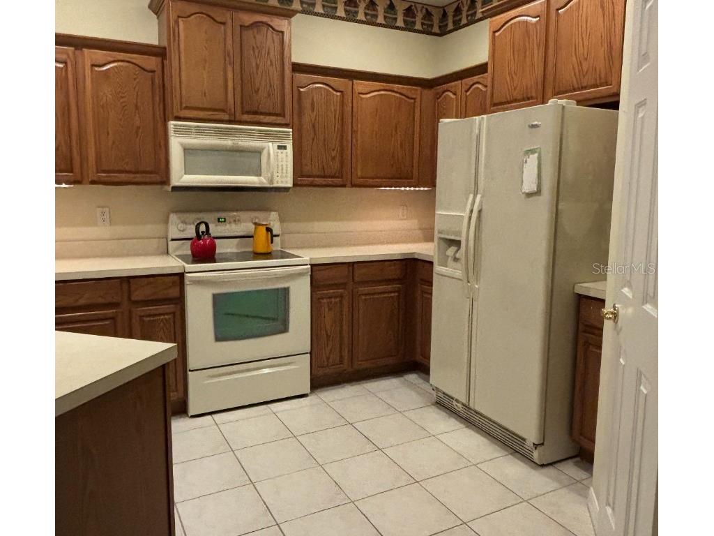 1204 Georgia Trace Avenue Valrico FL 33596 TB8451871 image3