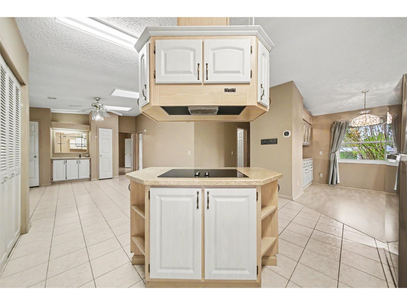 1204 Maria Court Lady Lake FL 32159 O6412427 image11