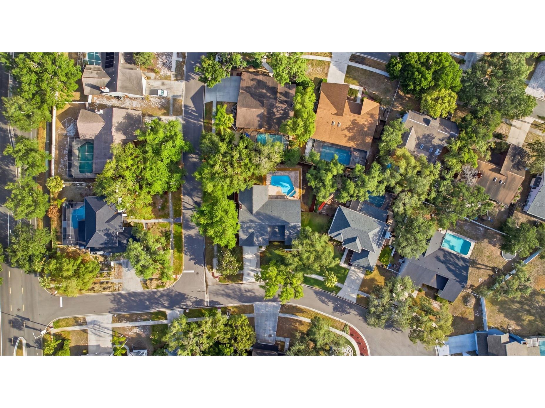 1204 Moondale Court Valrico FL 33596 TB8504095 image47