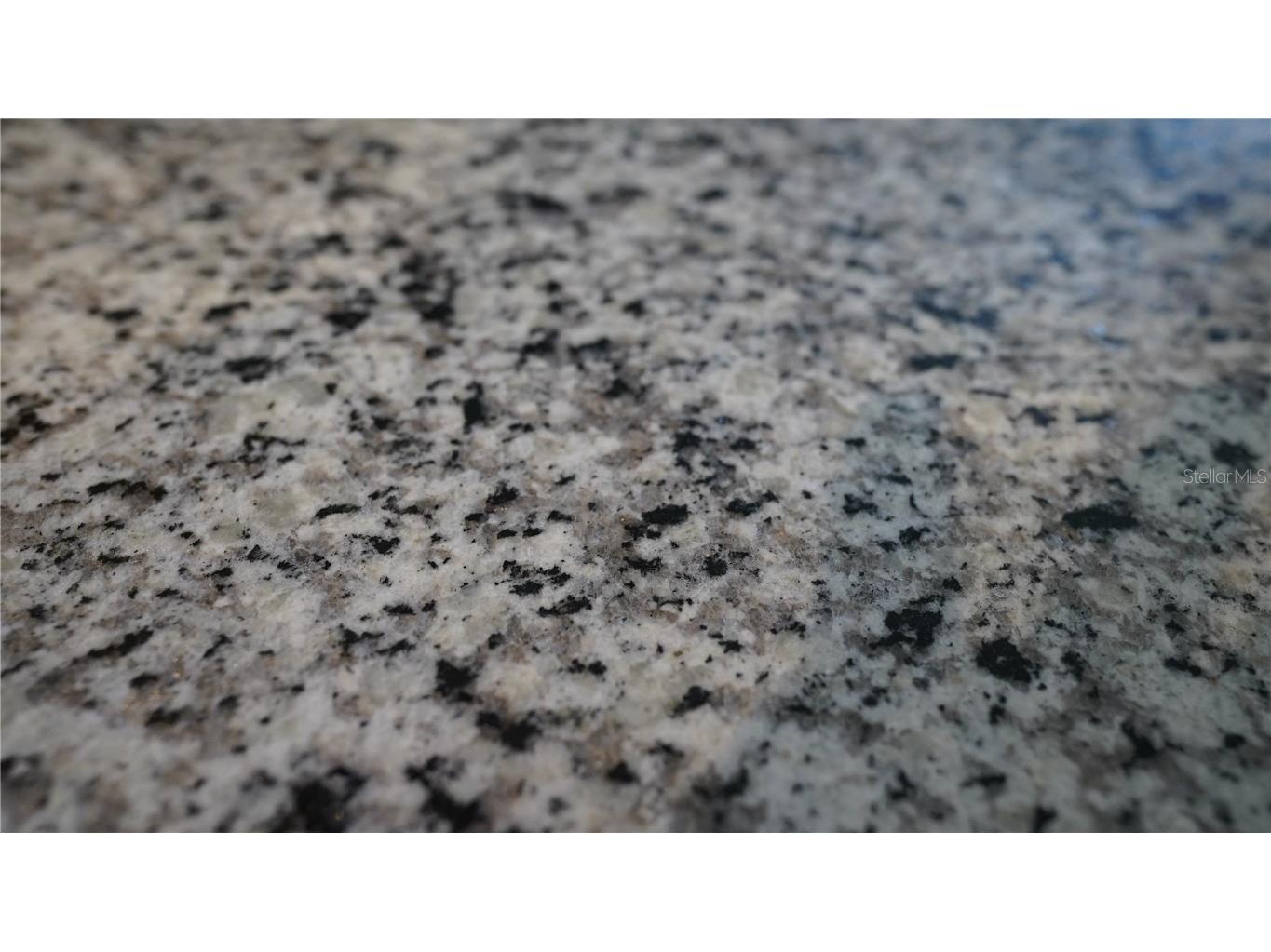 1204 Port Blue Way Lady Lake FL 32159 G5104903 image17