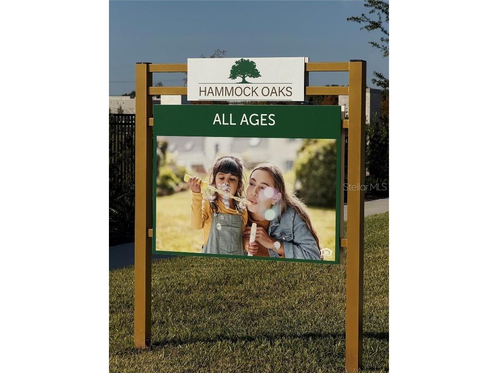 1204 Port Blue Way Lady Lake FL 32159 G5104903 image38