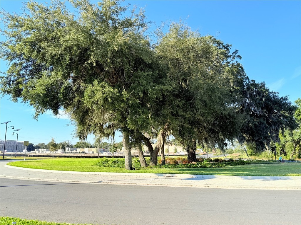 1204 Port Blue Way Lady Lake FL 32159 G5104903 image41