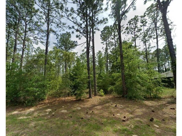 1204 W Fan Drive Citrus Springs FL 34434 TB8507921 image1