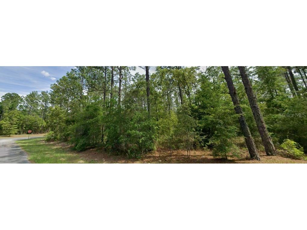 1204 W Fan Drive Citrus Springs FL 34434 TB8507921 image3