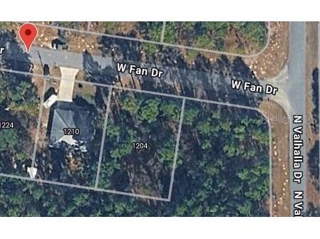 1204 W Fan Drive Citrus Springs FL 34434 TB8507921 image4