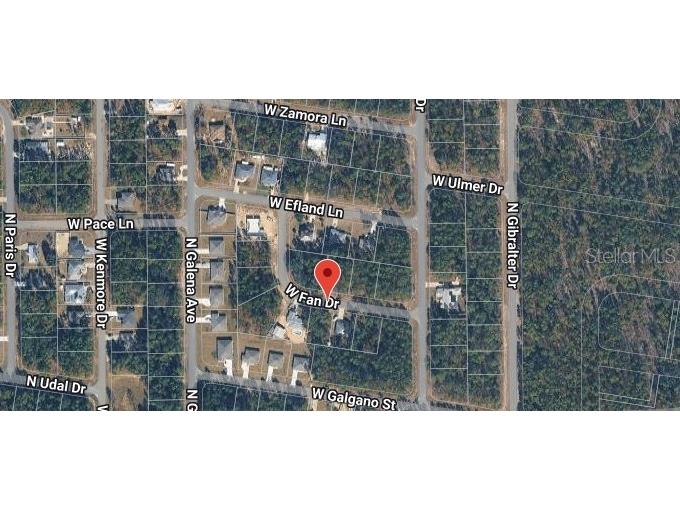 1204 W Fan Drive Citrus Springs FL 34434 TB8507921 image5