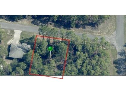 1204 W Fan Drive Citrus Springs FL 34434 TB8507921 image6