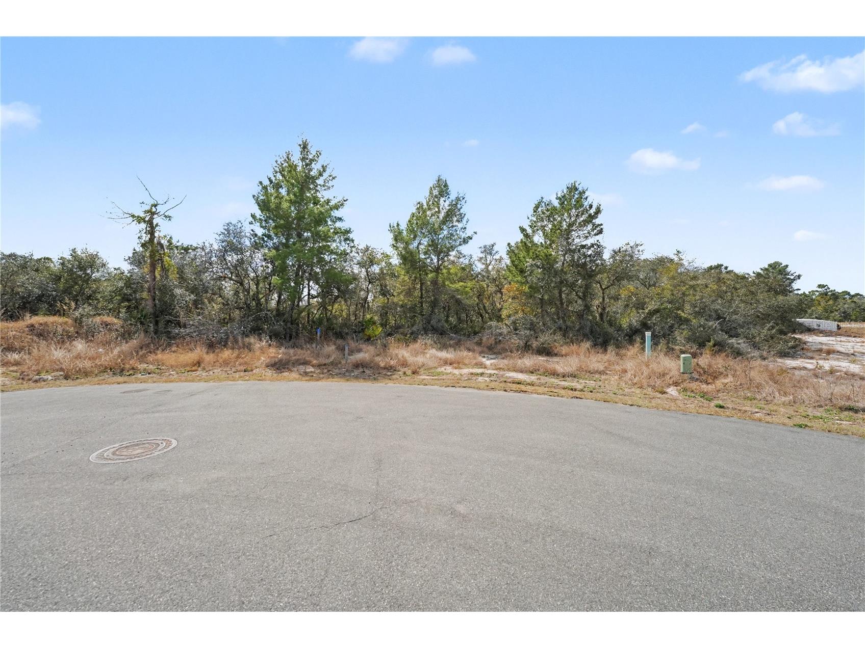1204 Waverly Place Poinciana FL 34759 P4937731 image3