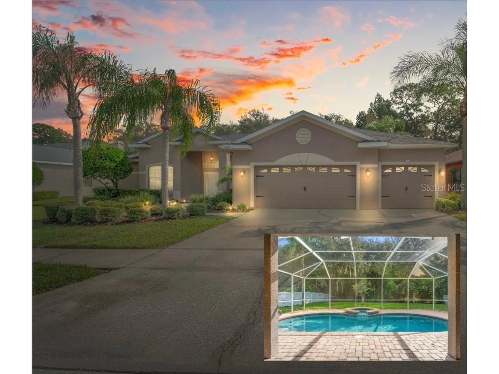 1204 Wyndham Lakes Drive Odessa FL 33556 W7868251 image1