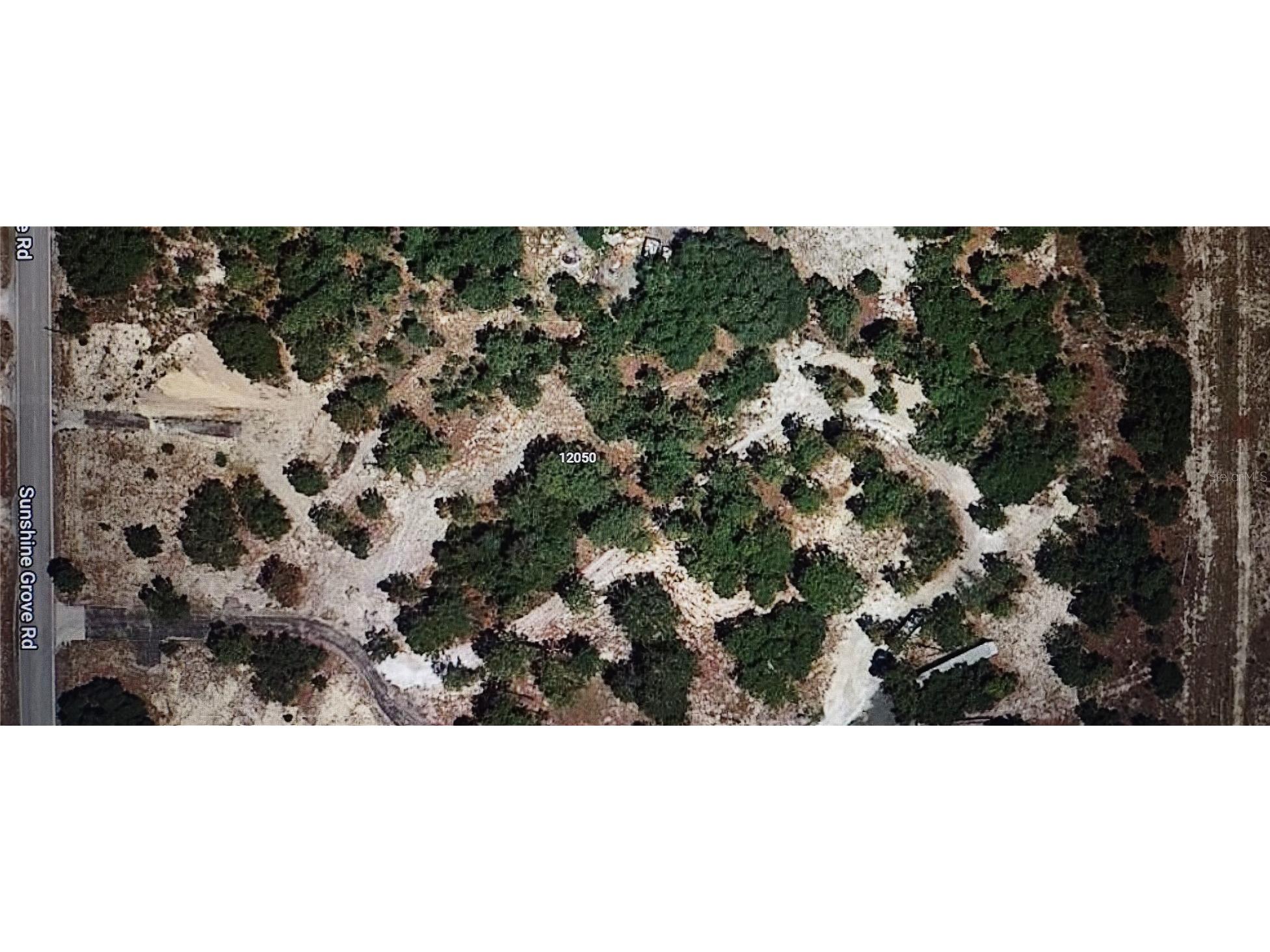 12040 Sunshine Grove #15A Brooksville FL 34614 S5070426 image1