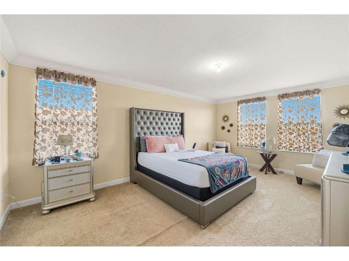 12041 Cardinal Flower Drive Riverview FL 33579 TB8435265 image14