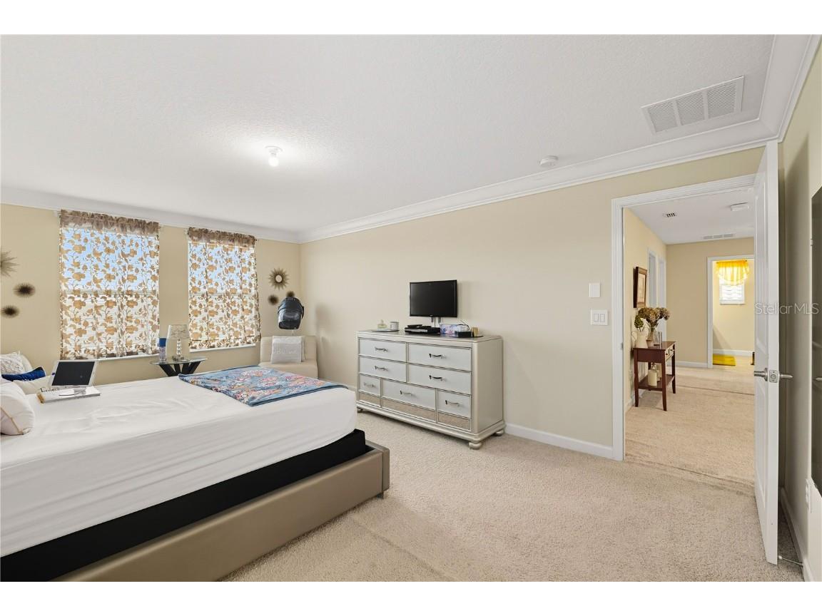 12041 Cardinal Flower Drive Riverview FL 33579 TB8435265 image15