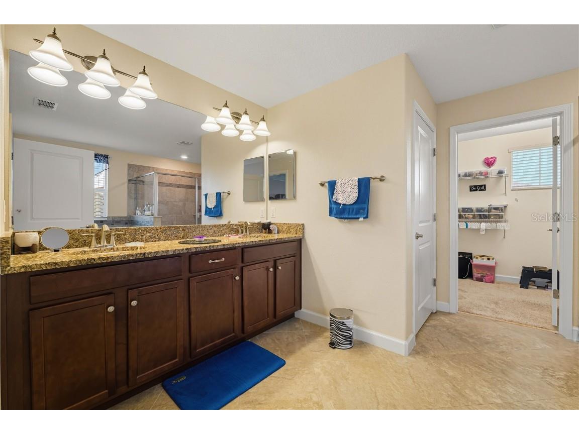 12041 Cardinal Flower Drive Riverview FL 33579 TB8435265 image16