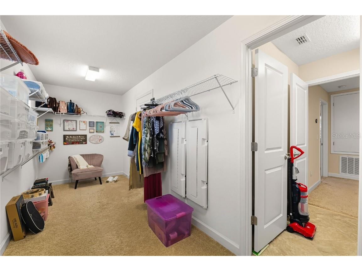 12041 Cardinal Flower Drive Riverview FL 33579 TB8435265 image19