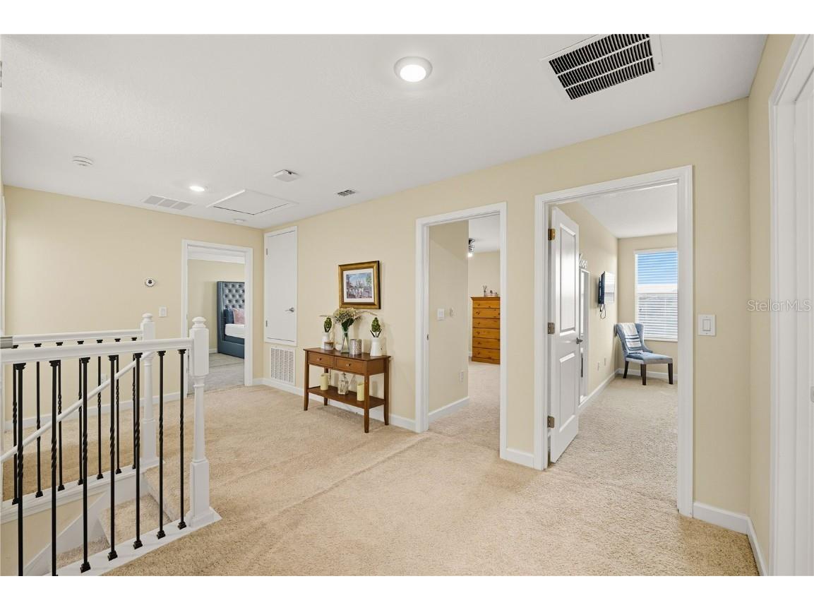 12041 Cardinal Flower Drive Riverview FL 33579 TB8435265 image22