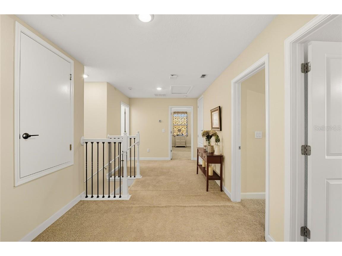 12041 Cardinal Flower Drive Riverview FL 33579 TB8435265 image26