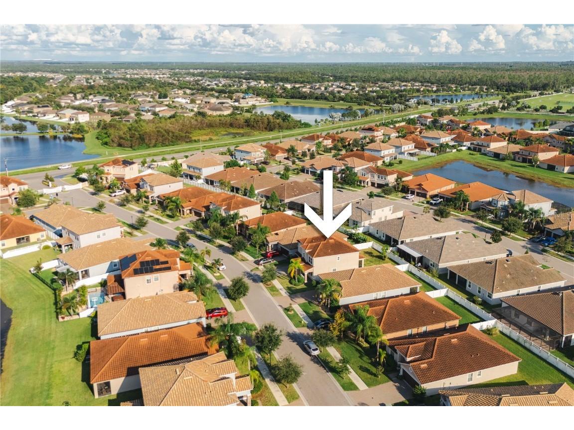 12041 Cardinal Flower Drive Riverview FL 33579 TB8435265 image49