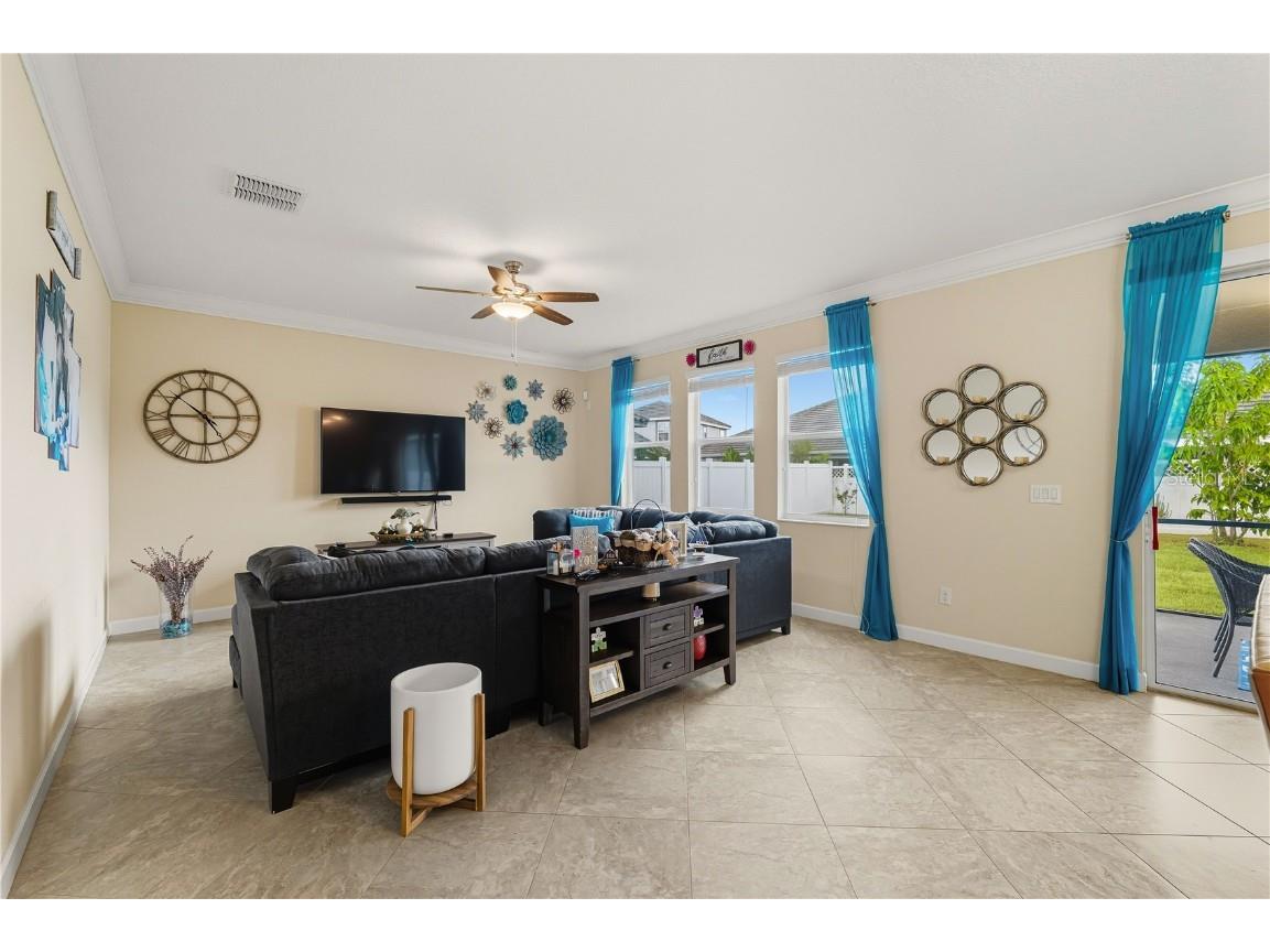 12041 Cardinal Flower Drive Riverview FL 33579 TB8435265 image8