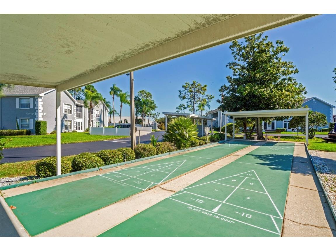 12041 Hoosier Court #202 Hudson FL 34667 TB8438356 image43