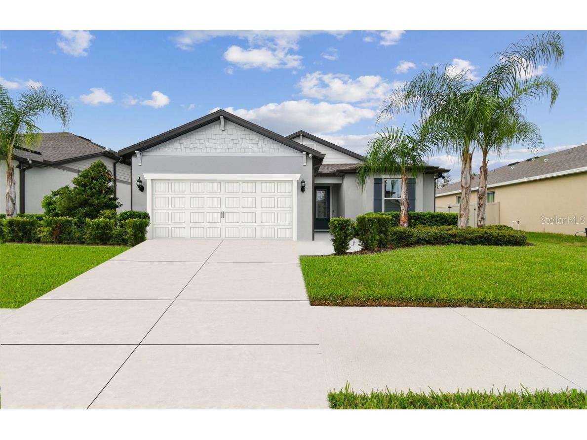 12041 Orchid Ash Street Riverview FL 33579 T3476795 image1