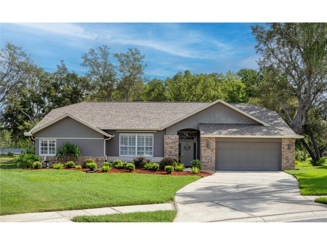 12041 Penzance Lane New Port Richey FL 34654 W7877181 image2