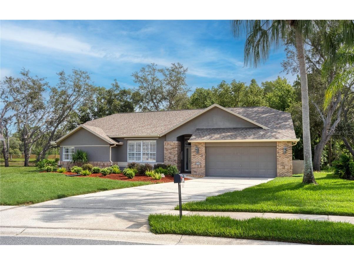 12041 Penzance Lane New Port Richey FL 34654 W7877181 image3