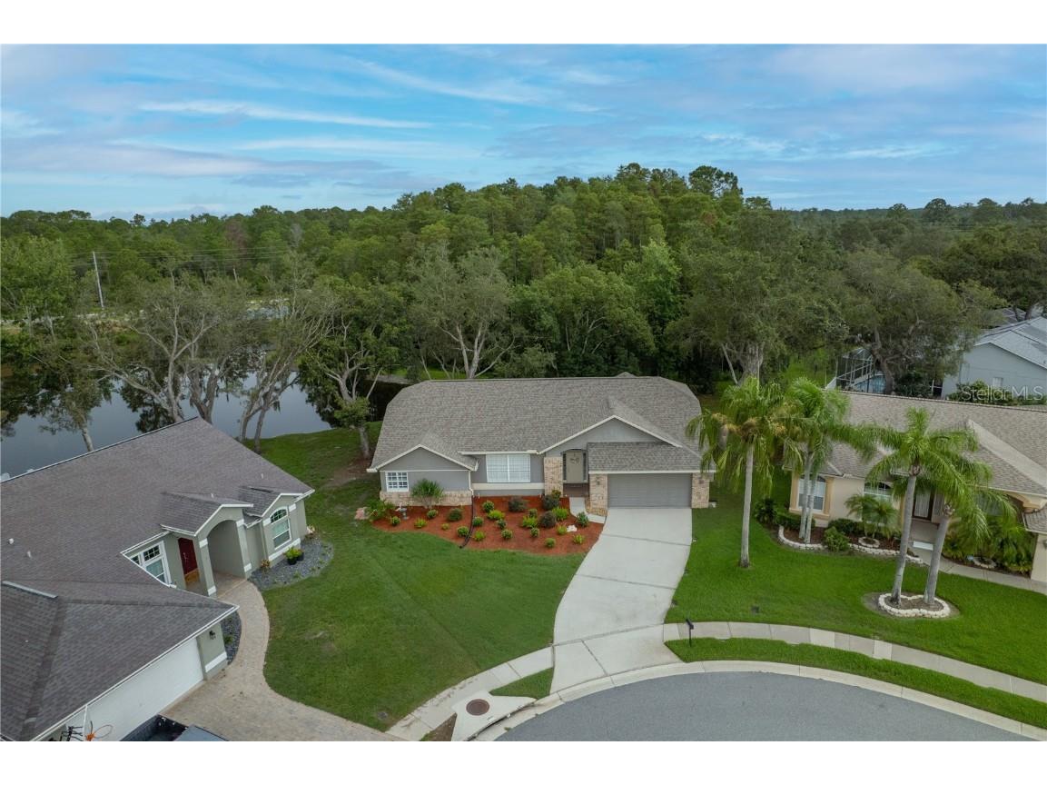 12041 Penzance Lane New Port Richey FL 34654 W7877181 image45