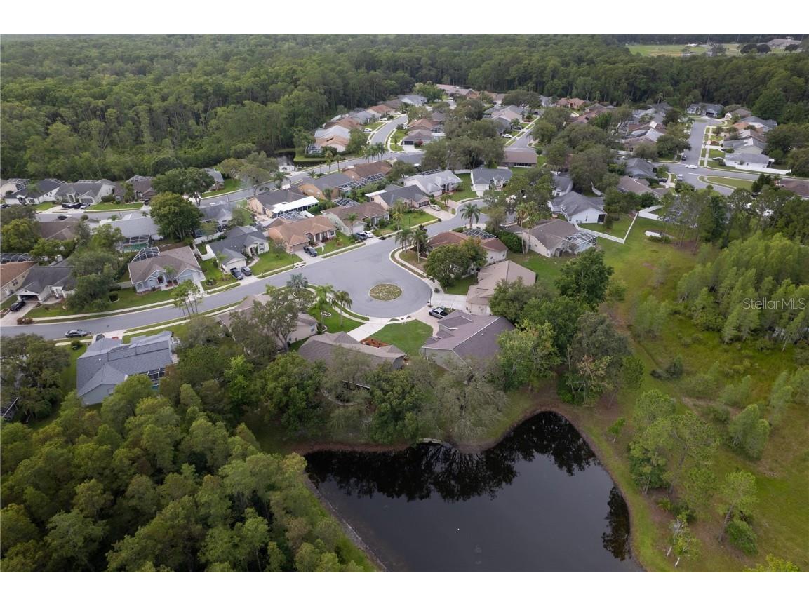 12041 Penzance Lane New Port Richey FL 34654 W7877181 image47