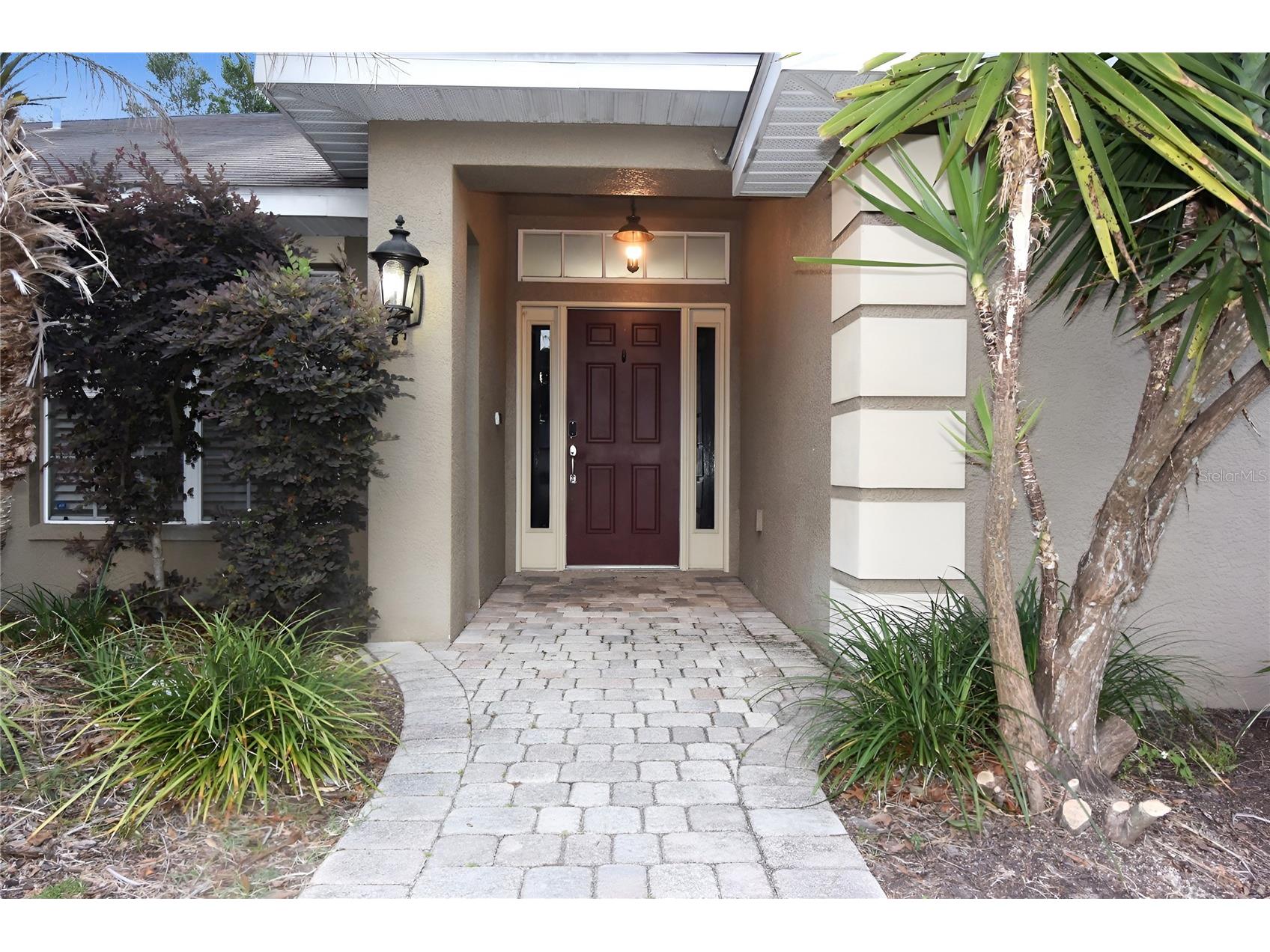 12042 Linden Drive Spring Hill FL 34608 W7885036 image3