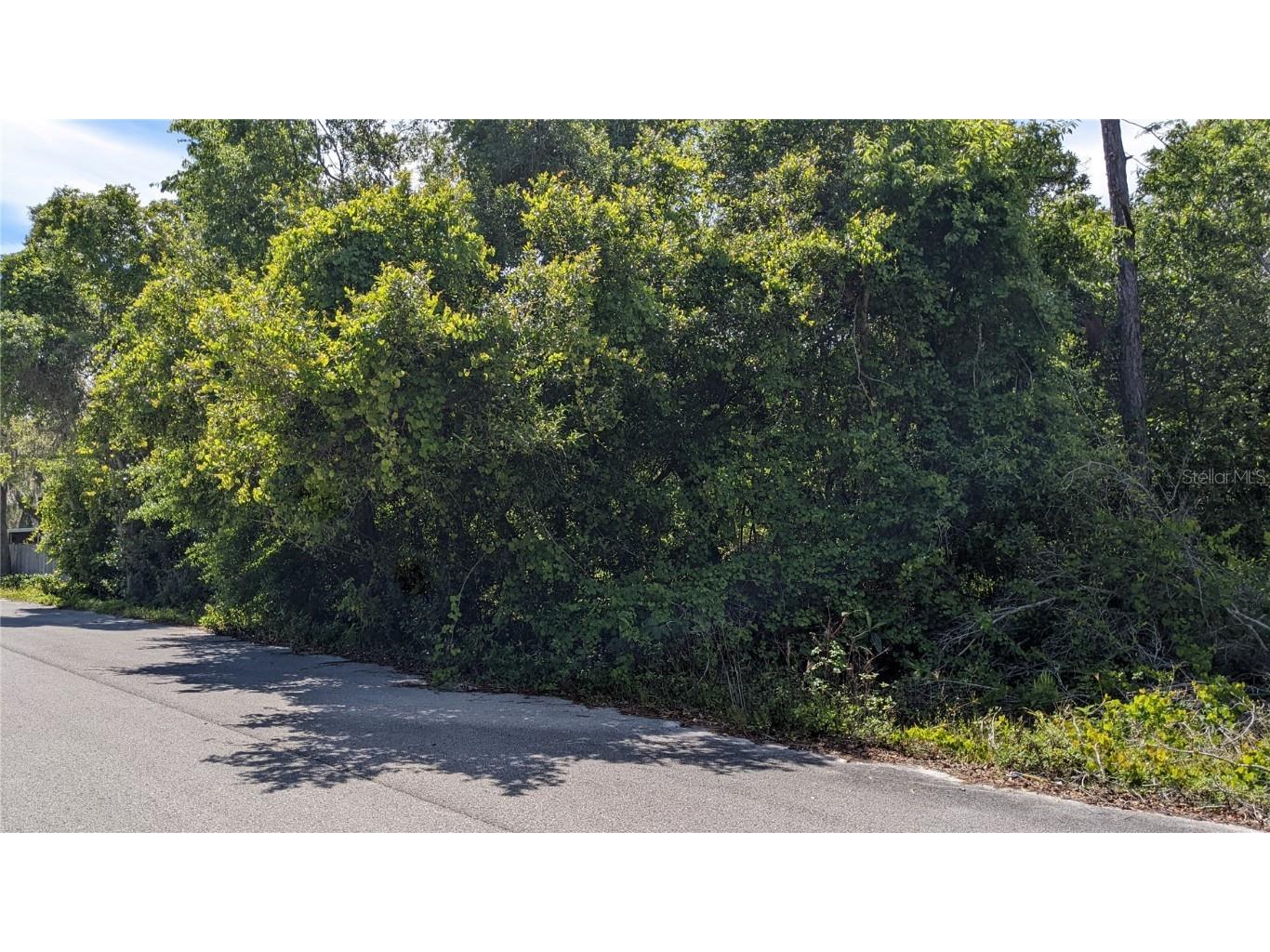 12042 Panama Avenue New Port Richey FL 34654 A4606455 image1