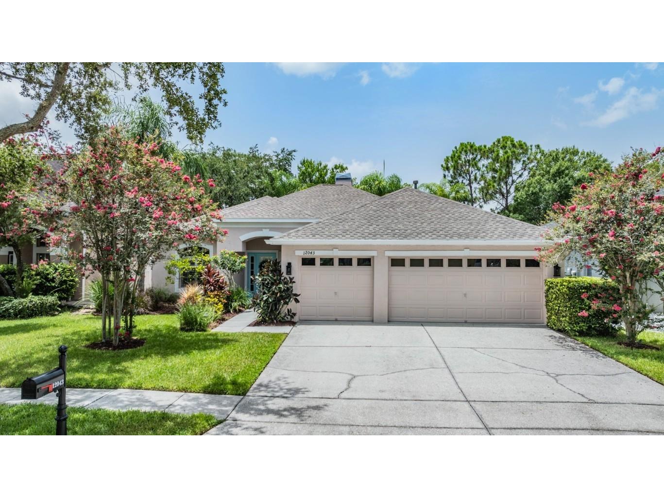 12043 Mountbatten Drive Tampa FL 33626 T3540919 image1