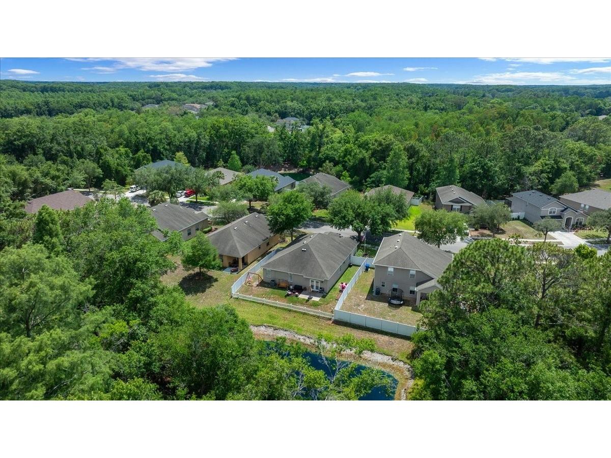 12044 Colony Lakes Boulevard New Port Richey FL 34654 OM724697 image38