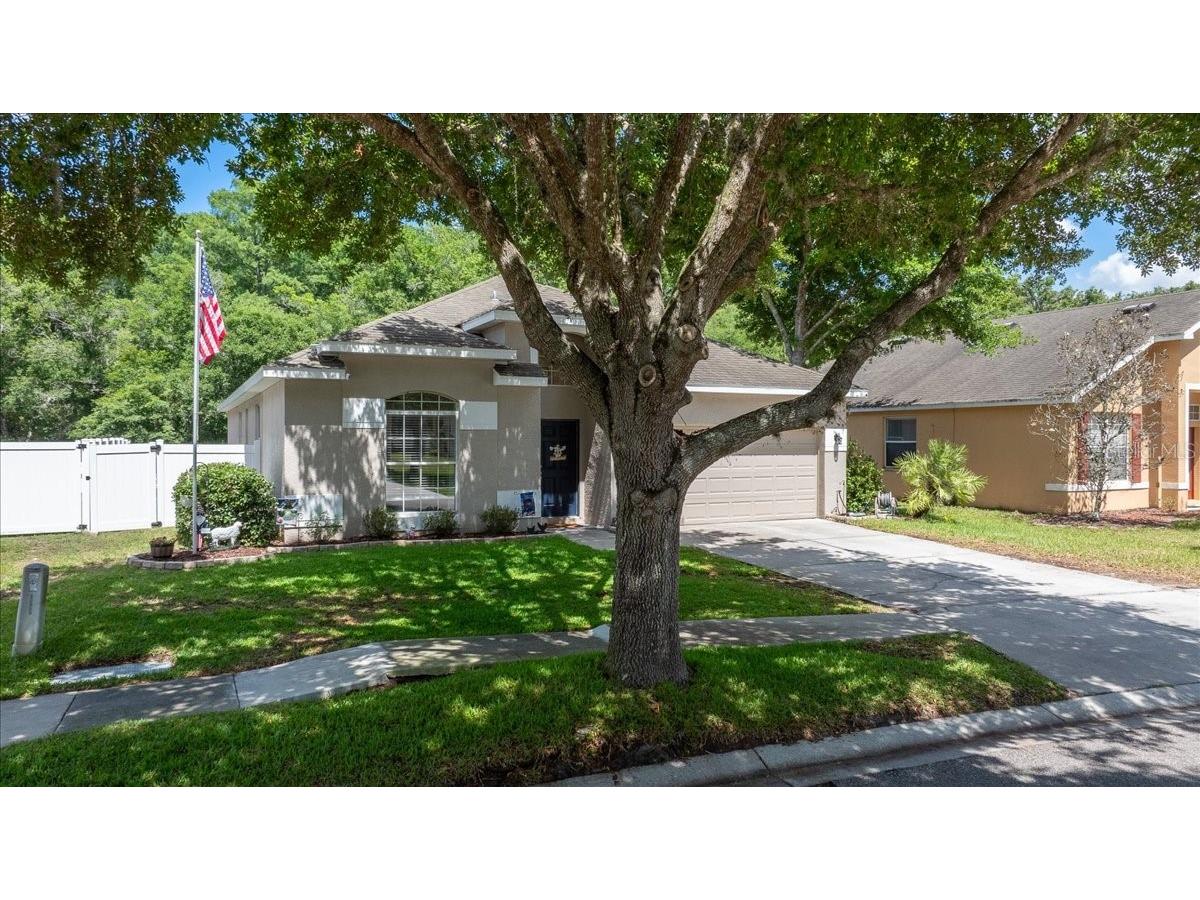 12044 Colony Lakes Boulevard New Port Richey FL 34654 OM724697 image4