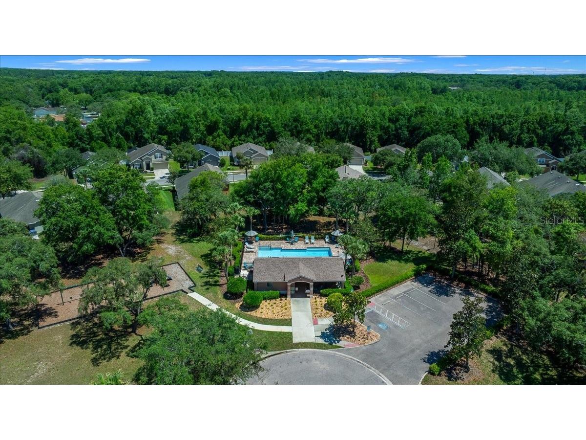 12044 Colony Lakes Boulevard New Port Richey FL 34654 OM724697 image43