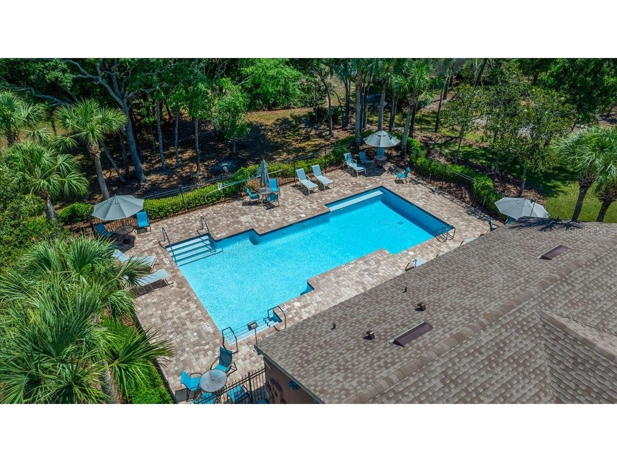 12044 Colony Lakes Boulevard New Port Richey FL 34654 OM724697 image46