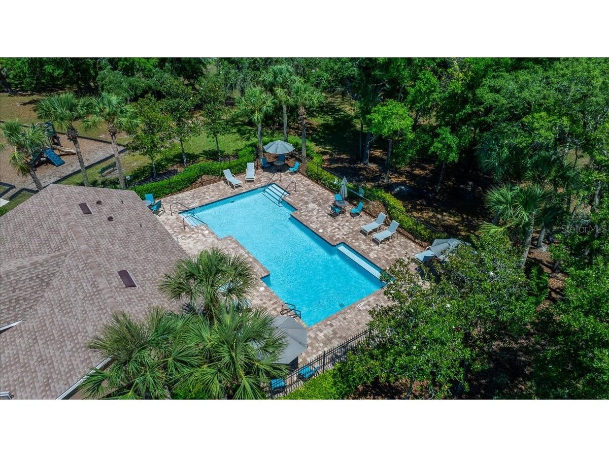 12044 Colony Lakes Boulevard New Port Richey FL 34654 OM724697 image47