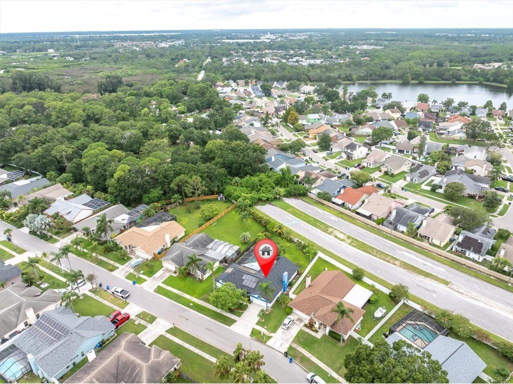 12046 Stone Crossing Circle Tampa FL 33635 TB8425771 image41