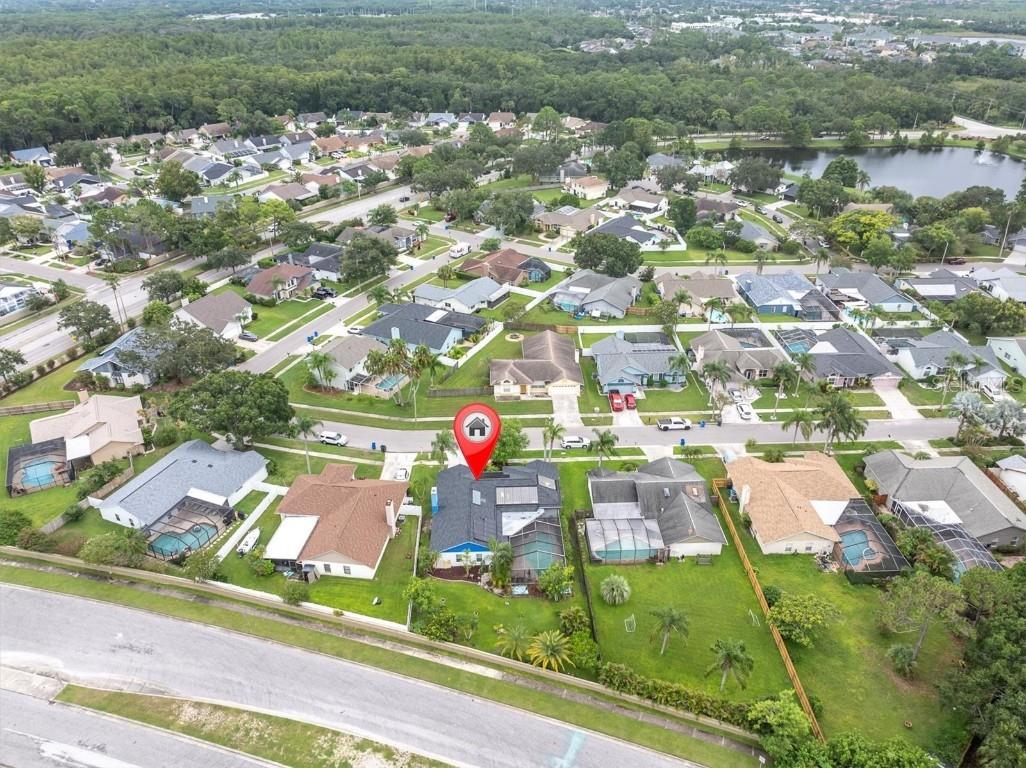 12046 Stone Crossing Circle Tampa FL 33635 TB8425771 image42